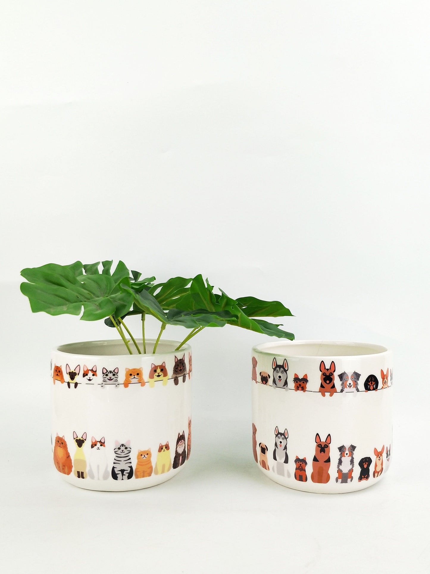 *NEW* Quirky Dog Planter Multicoloured