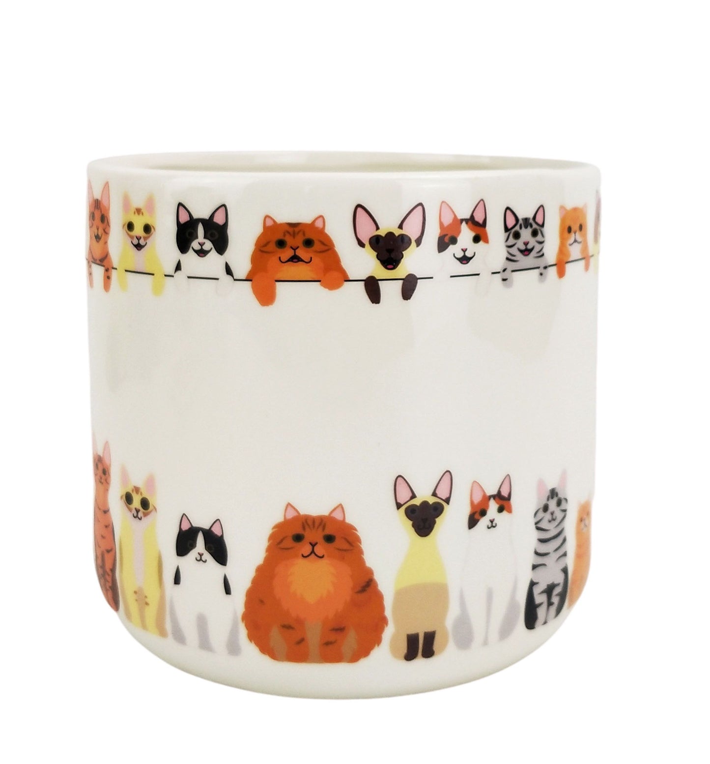 *NEW* Quirky Cat Planter Multicoloured