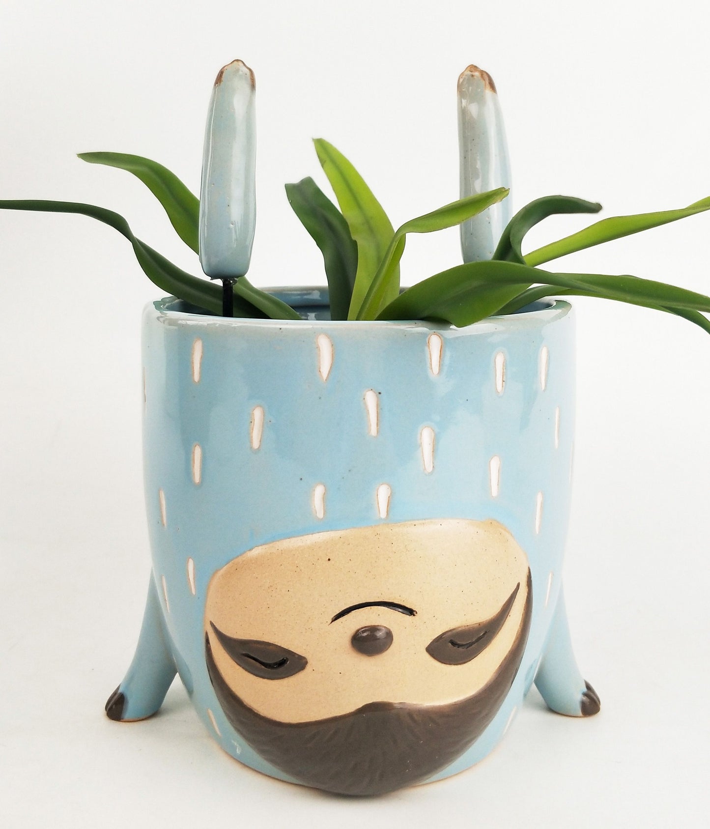 sloth planter, sloth pot, indoor plant pots, animal plant pots, indoor plant pots, brisbane indoor plants