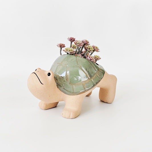Hanging Turtle Pot