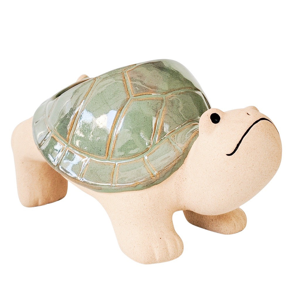 Hanging Turtle Pot