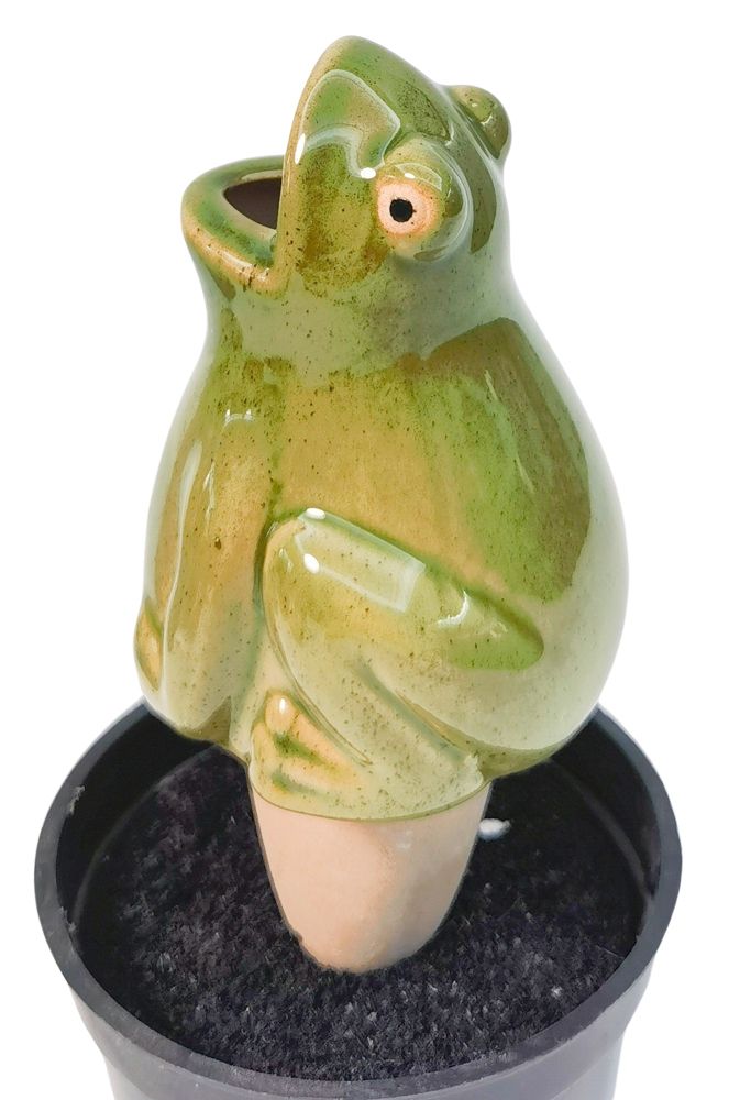 Frog Water Seeper