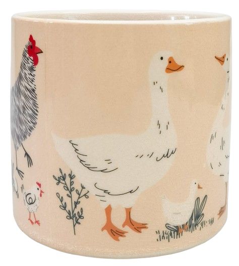 *NEW* Chicken Planter