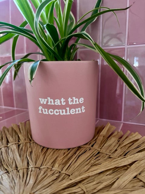 Pink plant pot with text 'what the fucculent' against a pink tiled wall.