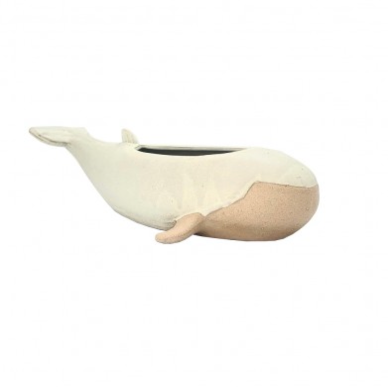 FUN plant pots, gifts for plant lovers, gifts for gardeners, funny plant pots, novelty plant pots, indoor plant pot, garden pots in Brisbane, plant pots Brisbane, plant pots near me, indoor planter pot, pot planter, indoor plant pots Brisbane, interesting plant pot, mad plant ladies,
