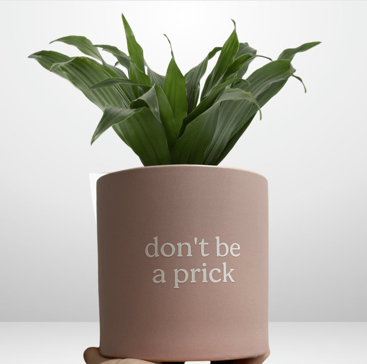 mad plant ladies pun pot- emotional support plant