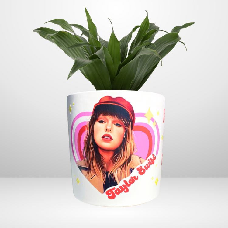 POP Pots