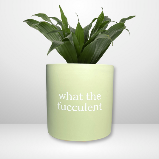 'what the fucculent' Pun Pot