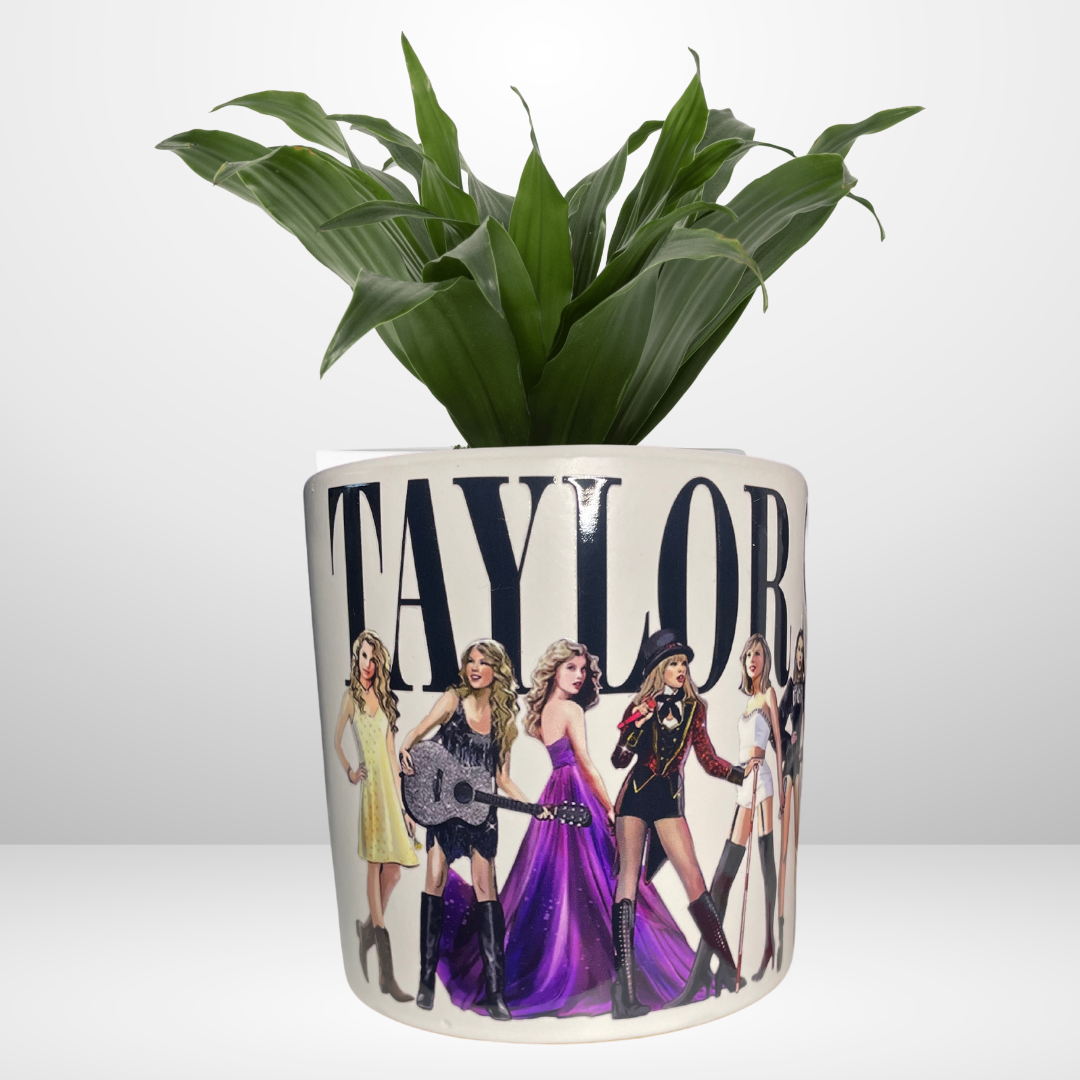 *NEW* TAYLOR SWIFT Planter – Mad Plant Ladies