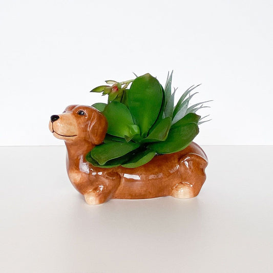 Ceramic dog-shaped planter with succulents on a white background