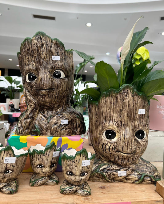 Groot Planter- XL