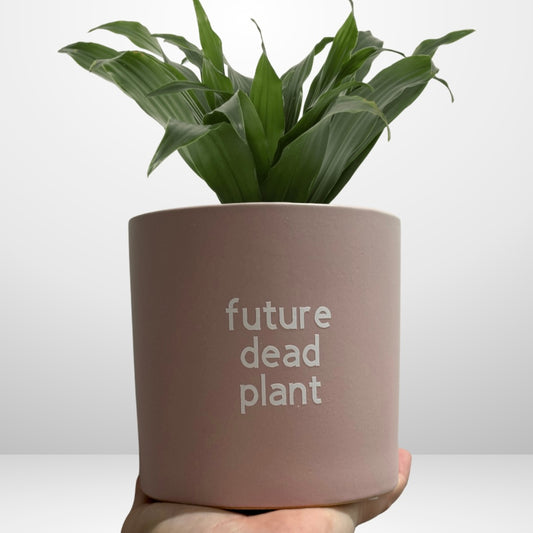 'future dead plant' Pun Pot