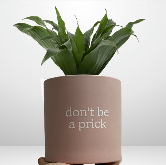 'don't be a prick' Pun Pot