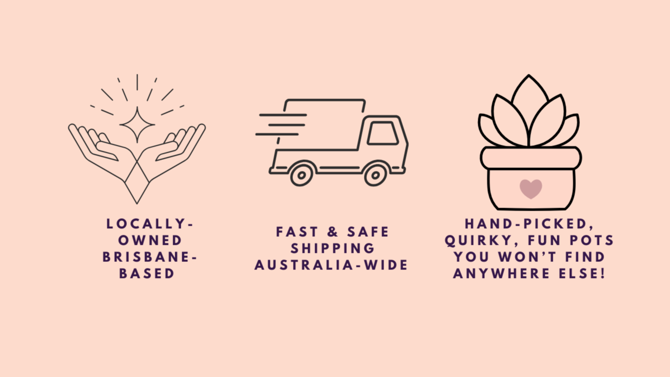 Three icons with text on a pink background, representing locally-owned business, fast shipping, and unique products.