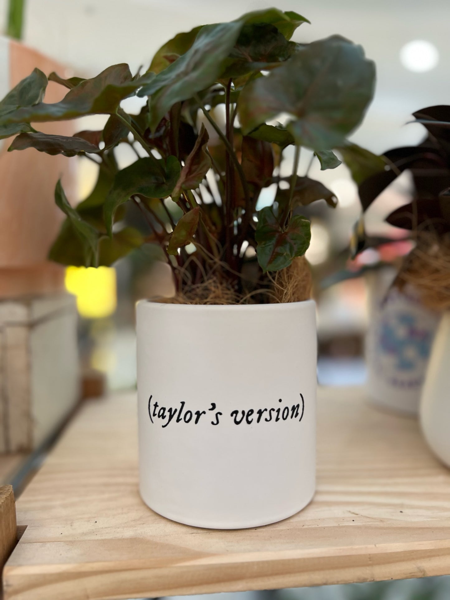 (taylor's version) Planter