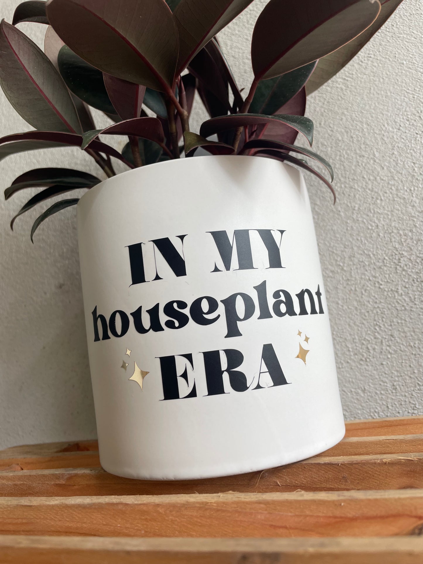 *NEW* In my houseplant era Planter