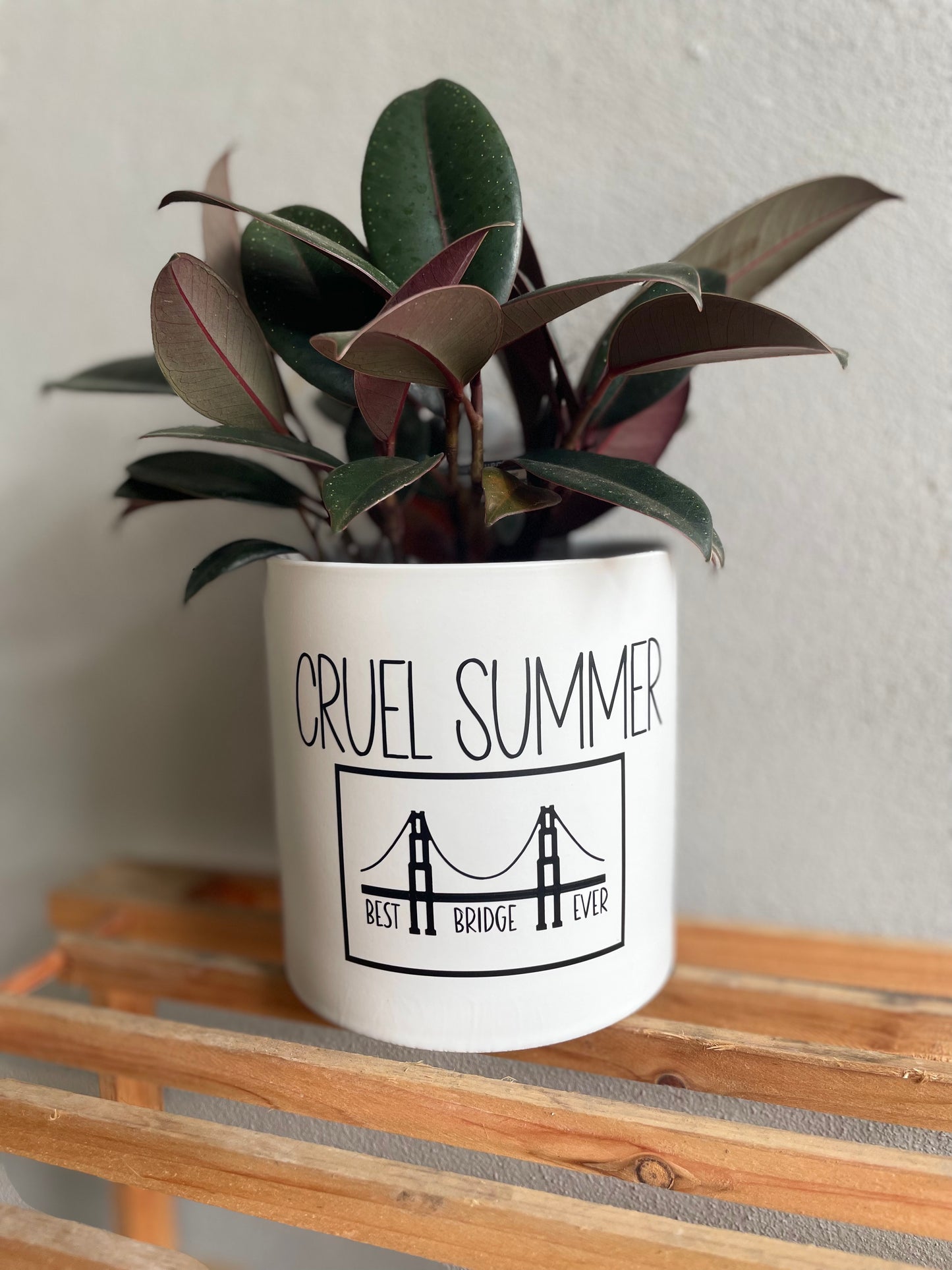 Cruel Summer Bridge Planter