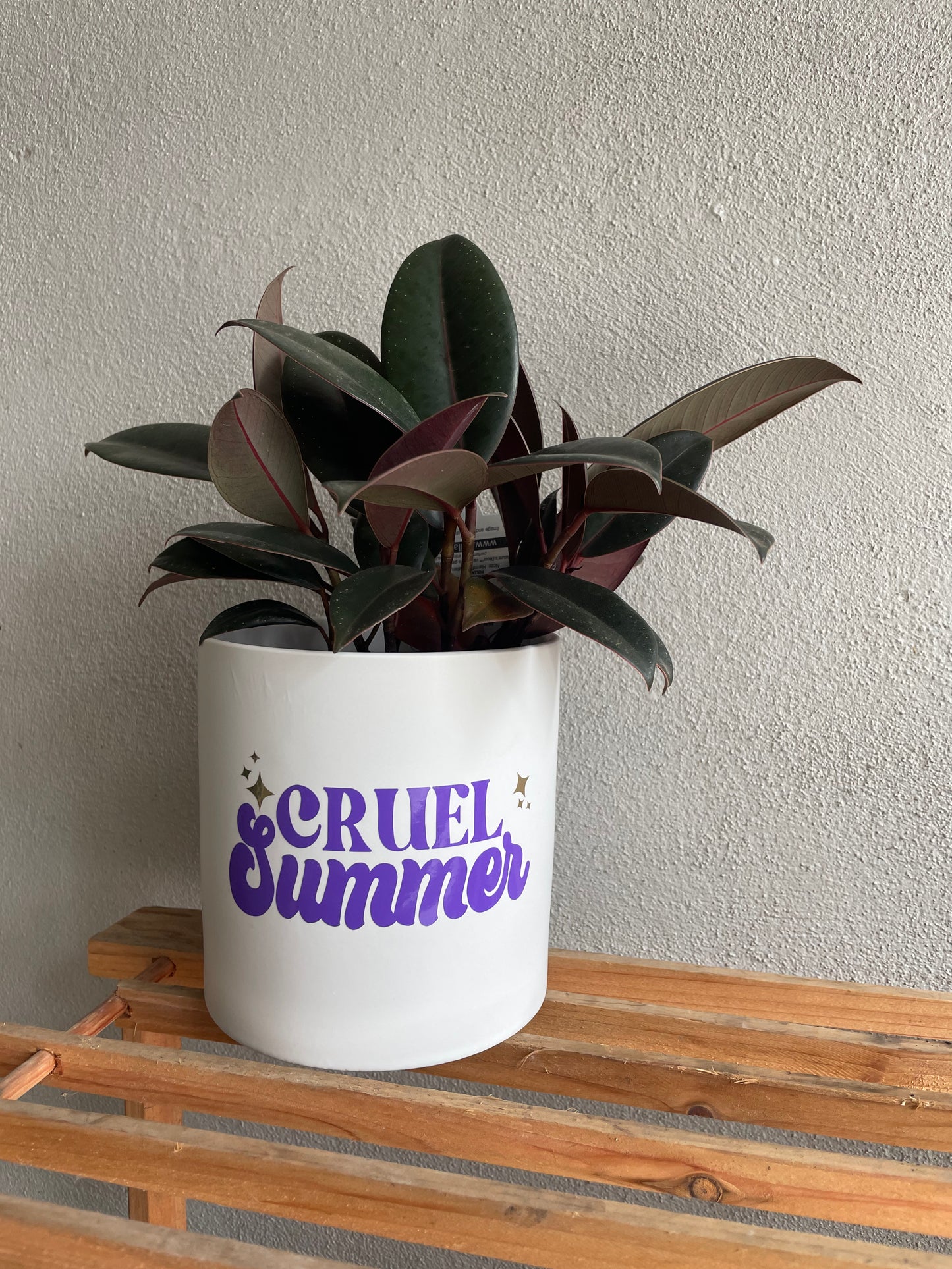 Cruel Summer Planter