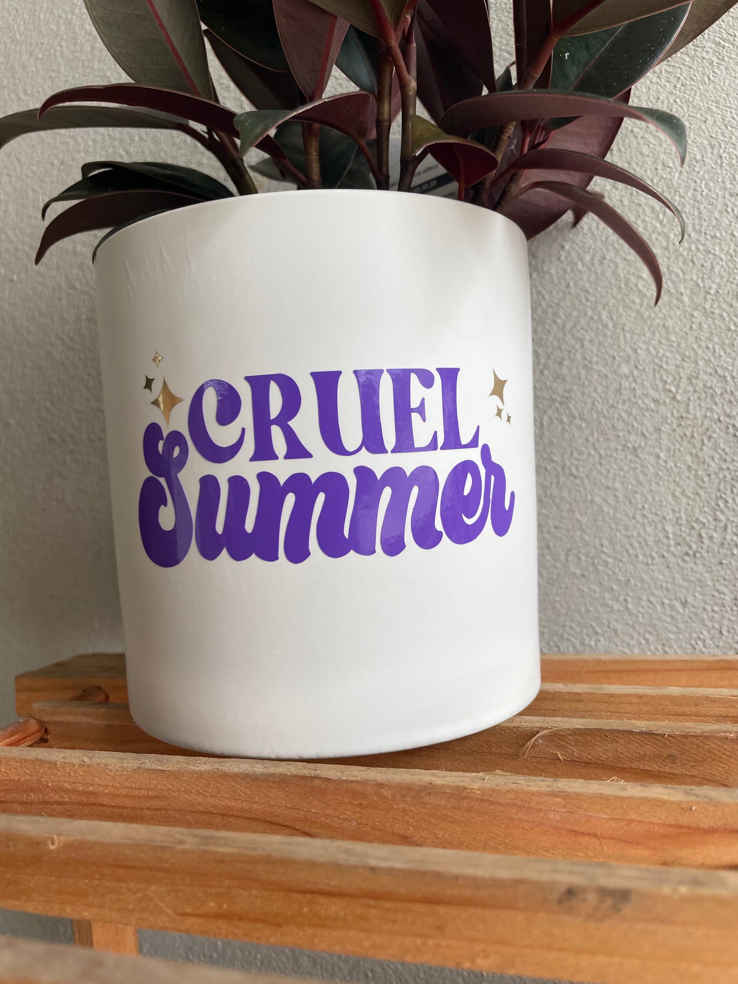 Cruel Summer Planter