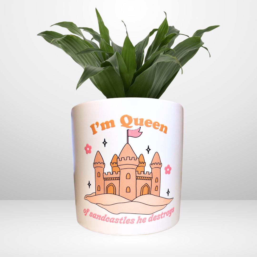 *NEW* I'm Queen of Sandcastles He Destroys- Taylor Swift Planter