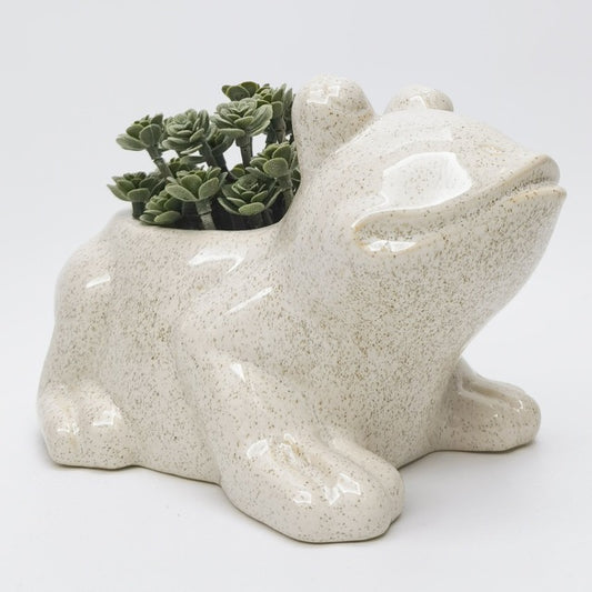 Ceramic frog planter with succulents on a light gray background