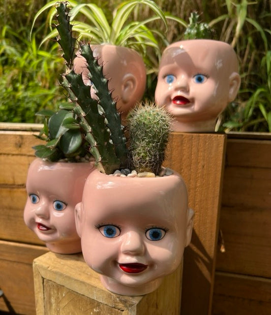 FUN plant pots, gifts for plant lovers, gifts for gardeners, funny plant pots, novelty plant pots, indoor plant pot, garden pots in Brisbane, plant pots Brisbane, plant pots near me, indoor planter pot, pot planter, indoor plant pots Brisbane, interesting plant pot, mad plant ladies, 