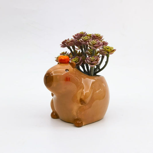 Small ceramic capybara planter