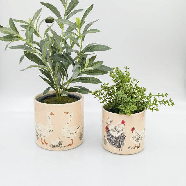 *NEW* Chicken Planter