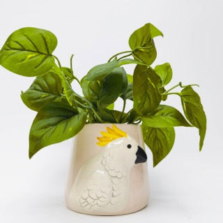 FUN plant pots, gifts for plant lovers, gifts for gardeners, funny plant pots, novelty plant pots, indoor plant pot, garden pots in Brisbane, plant pots Brisbane, plant pots near me, indoor planter pot, pot planter, indoor plant pots Brisbane, interesting plant pot, mad plant ladies, 
urban products