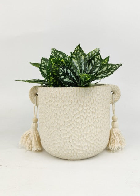 FUN plant pots, gifts for plant lovers, gifts for gardeners, funny plant pots, novelty plant pots, indoor plant pot, garden pots in Brisbane, plant pots Brisbane, plant pots near me, indoor planter pot, pot planter, indoor plant pots Brisbane, interesting plant pot, mad plant ladies, 
