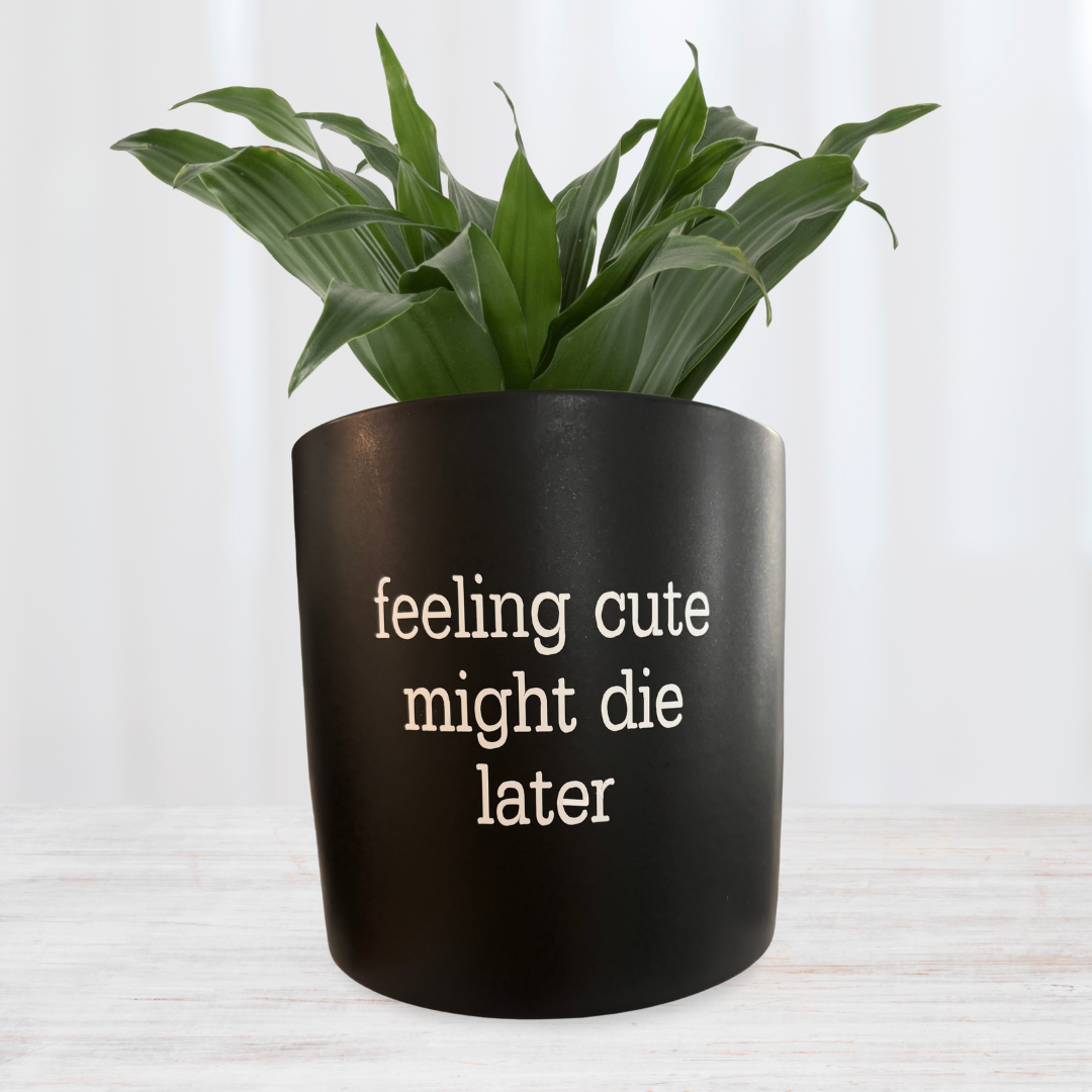 'feeling cute might die later' Pun Pot