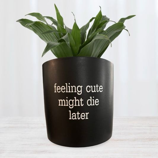 'feeling cute might die later' Pun Pot black, FUN plant pots, gifts for plant lovers, gifts for gardeners, funny plant pots, novelty plant pots, indoor plant pot, garden pots in Brisbane, plant pots Brisbane, plant pots near me, indoor planter pot, pot planter, indoor plant pots Brisbane, interesting plant pot, mad plant ladies, 