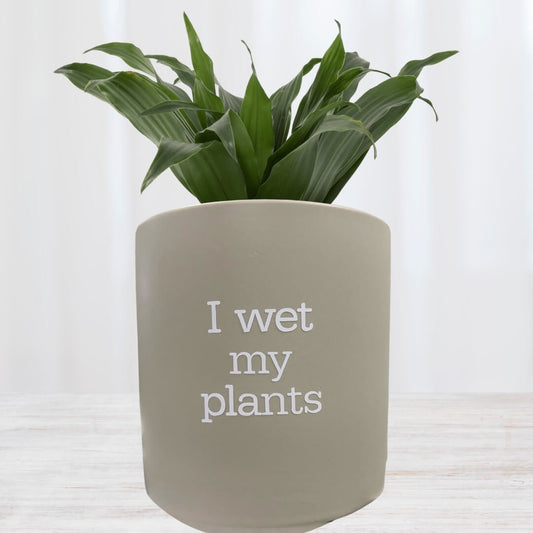 FUN plant pots, gifts for plant lovers, gifts for gardeners, funny plant pots, novelty plant pots, indoor plant pot,garden pots in Brisbane, plant pots Brisbane, plant pots near me, indoor planter pot, pot planter, indoor plant pots Brisbane, interesting plant pot, 