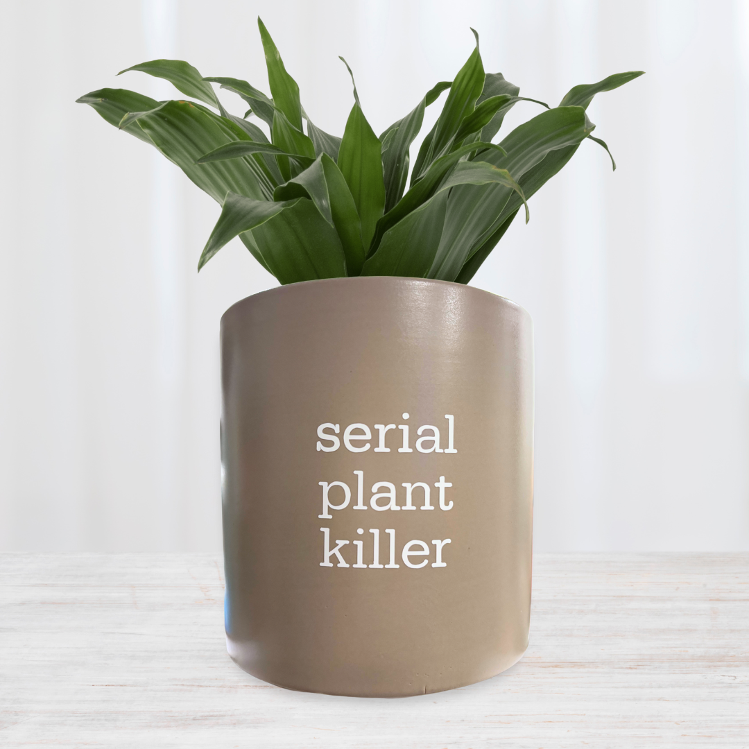 'Serial Plant Killer' Planter