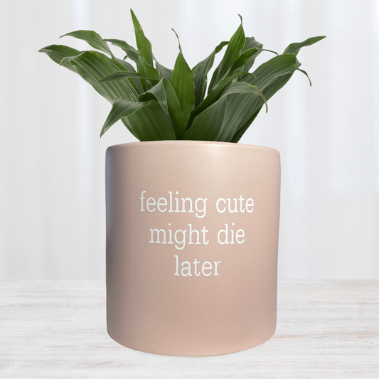 'feeling cute might die later' Pun Pot