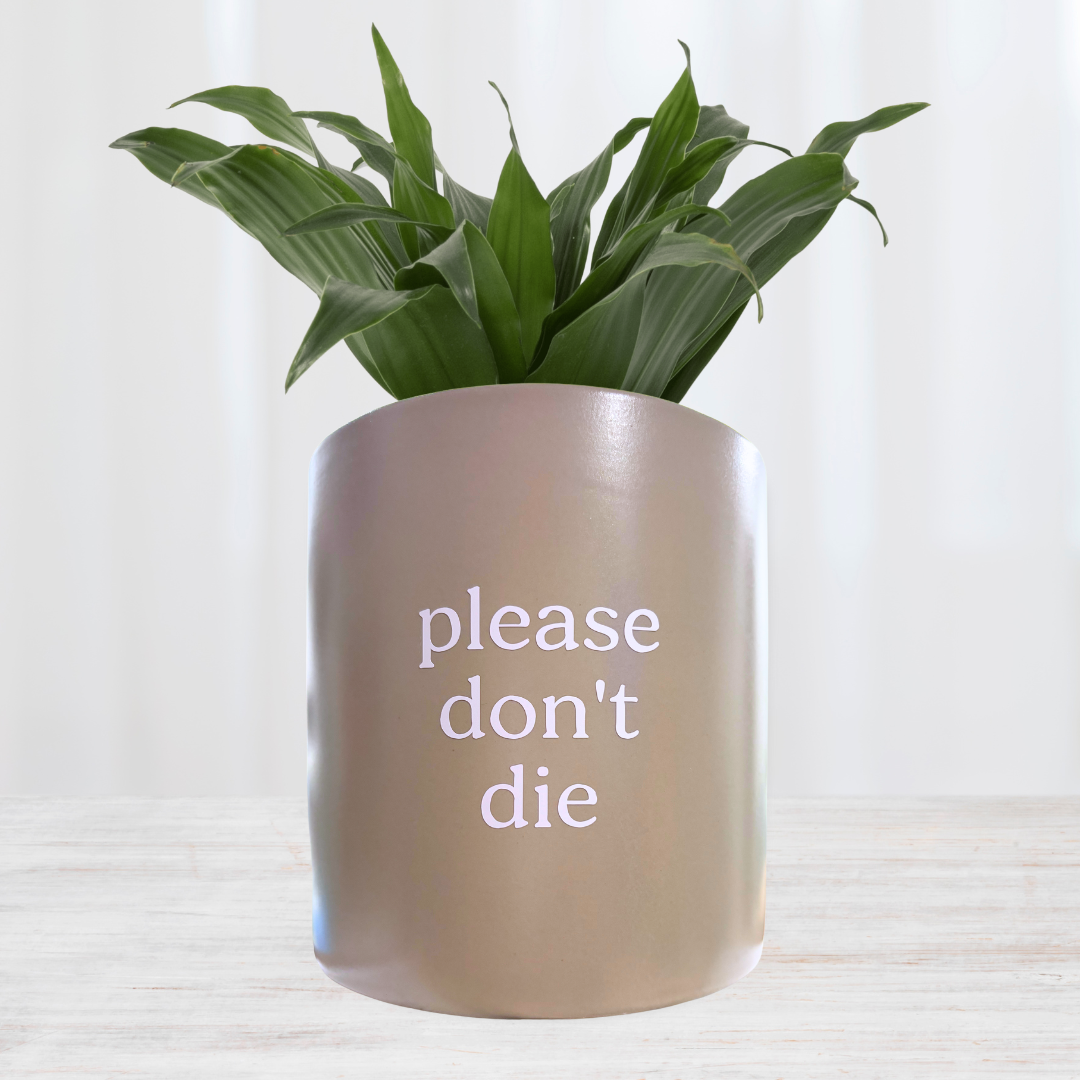 'please don't die' Pun Pot