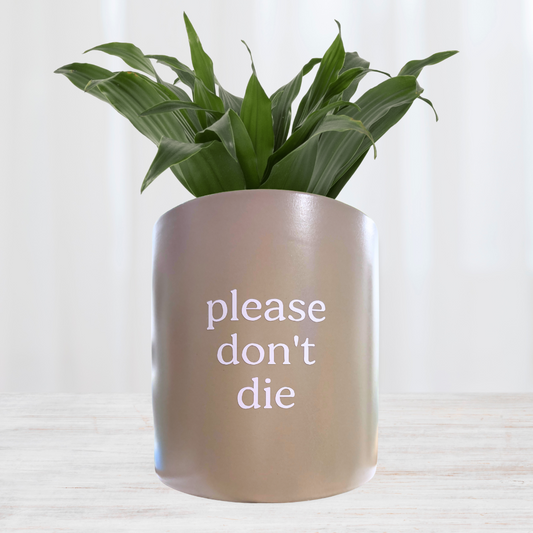 'please don't die' Pun Pot