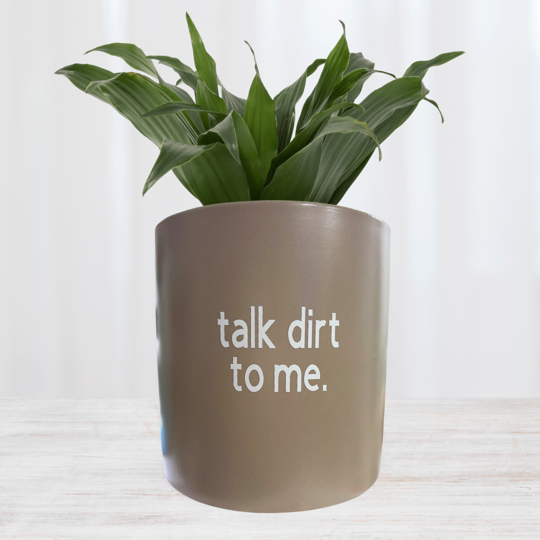 'I like plants more than people' Planter