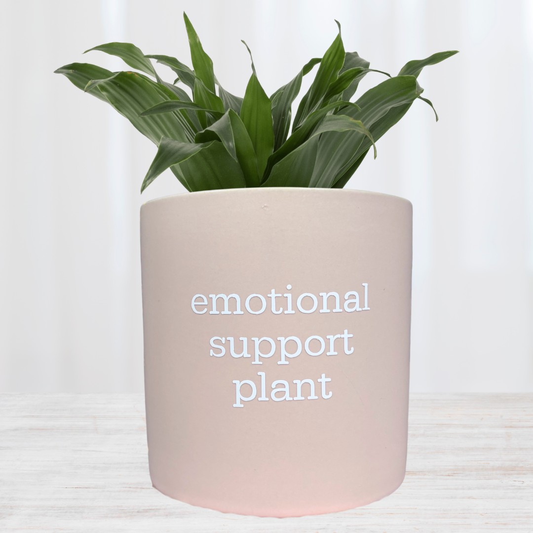 'emotional support plant' Pun Pot