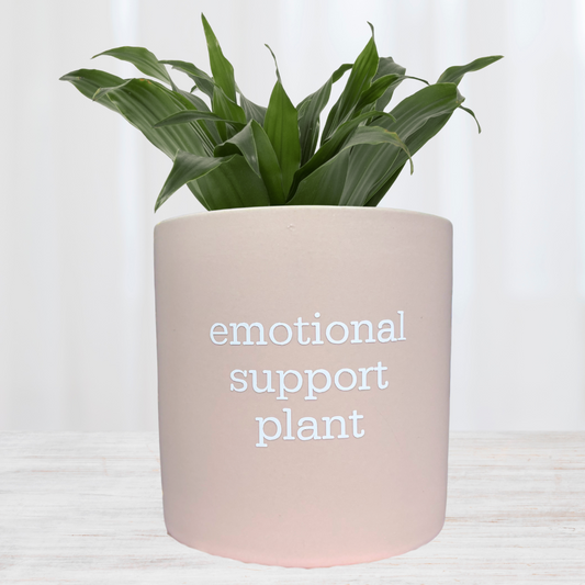 'emotional support plant' Pun Pot