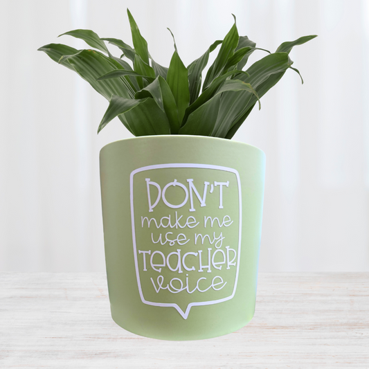 'Don't Make Me Use My Teacher Voice' Planter