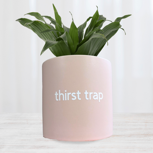 'Thirst Trap' Planter