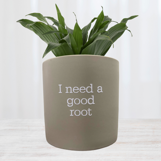'I Need A Good Root' Pun Pot