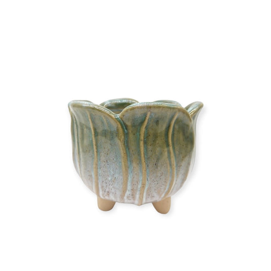 cute indoor planters, quirky plant pots, fun plant pots, unique planters for indoor plants, novelty plant pots, funny plant pots, ceramic animal planters, small indoor plant pots, cute succulent pots, decorative indoor planters, gifts for plant lovers, quirky home gifts, plant gifts for her, plant gifts for him, gifts for gardeners, fun gifts for houseplant lovers, cute home decor gifts, indoor plant gift ideas, gifts under $50 for plant lovers