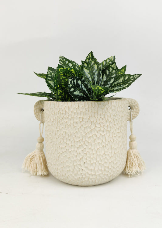 Kinsley Planter Cream