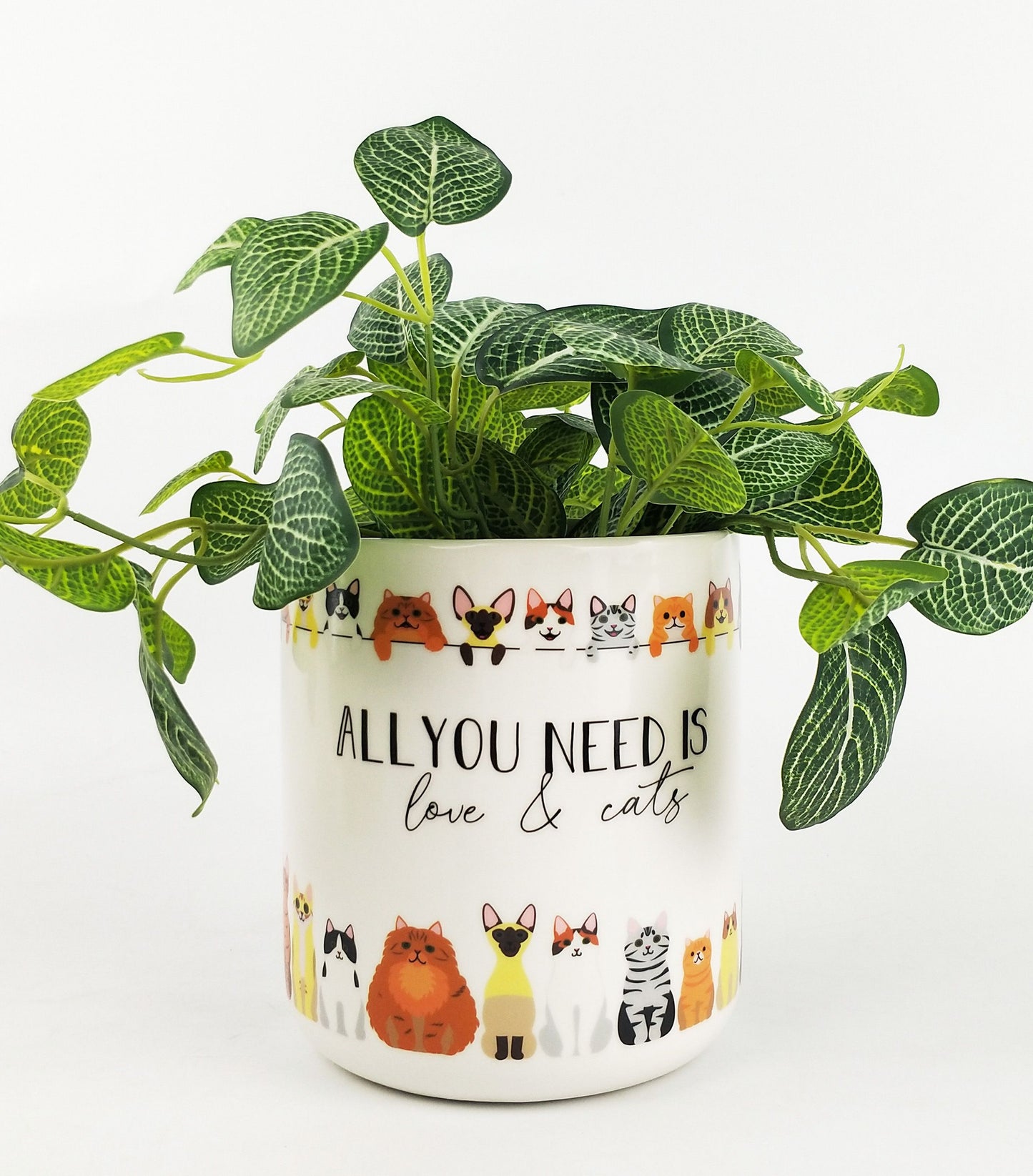 Quirky Cat Planter- All you need is love and cats