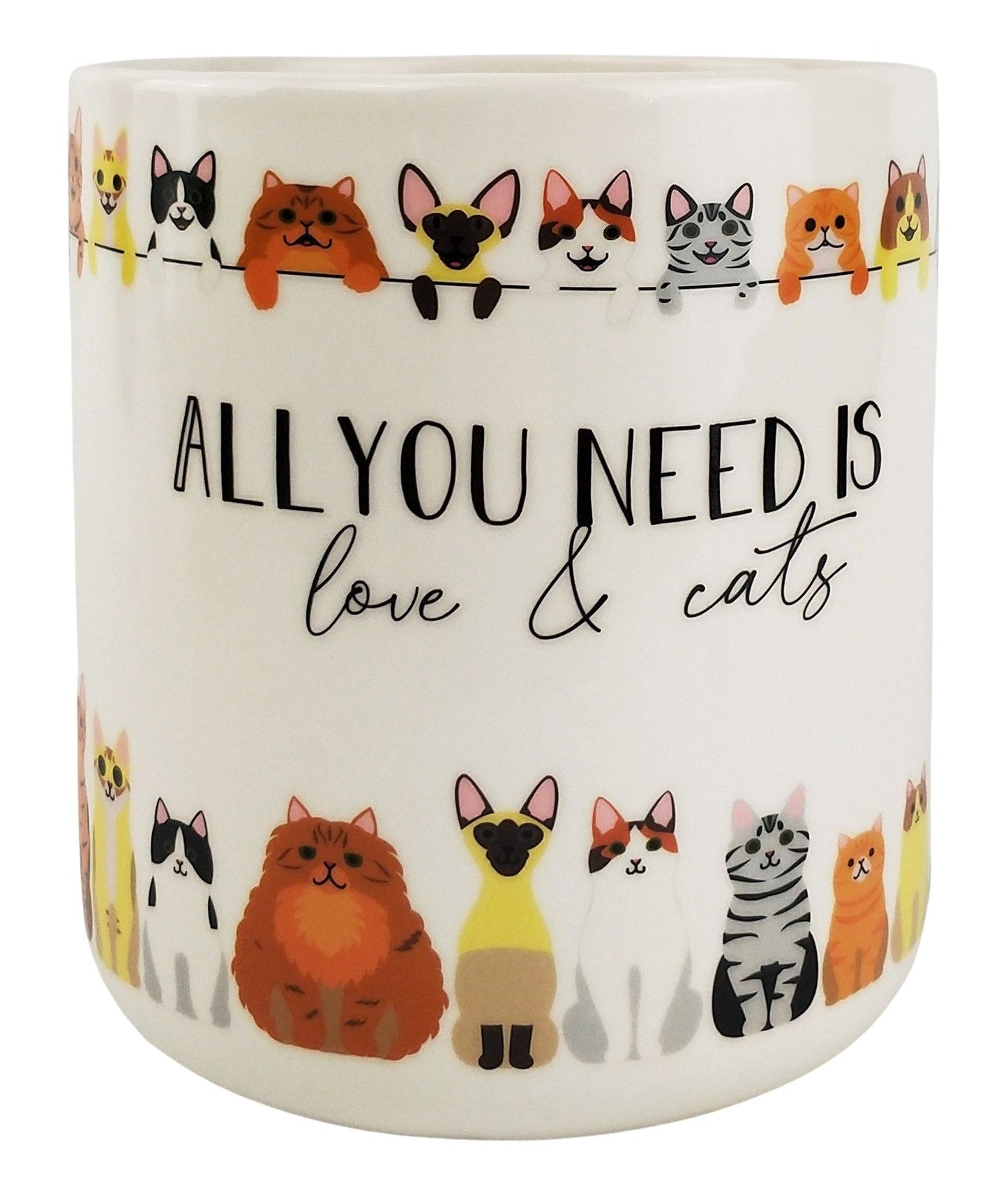 Quirky Cat Planter- All you need is love and cats