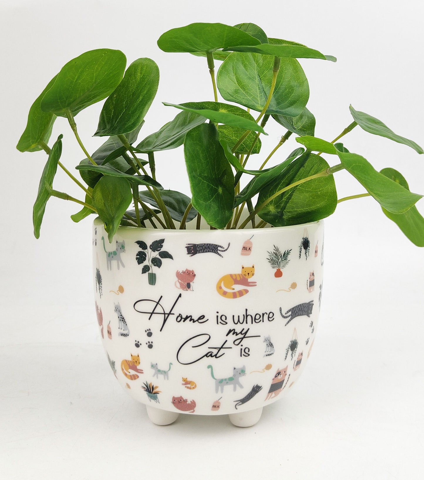 *NEW* Home is Where My Cat Is Planter