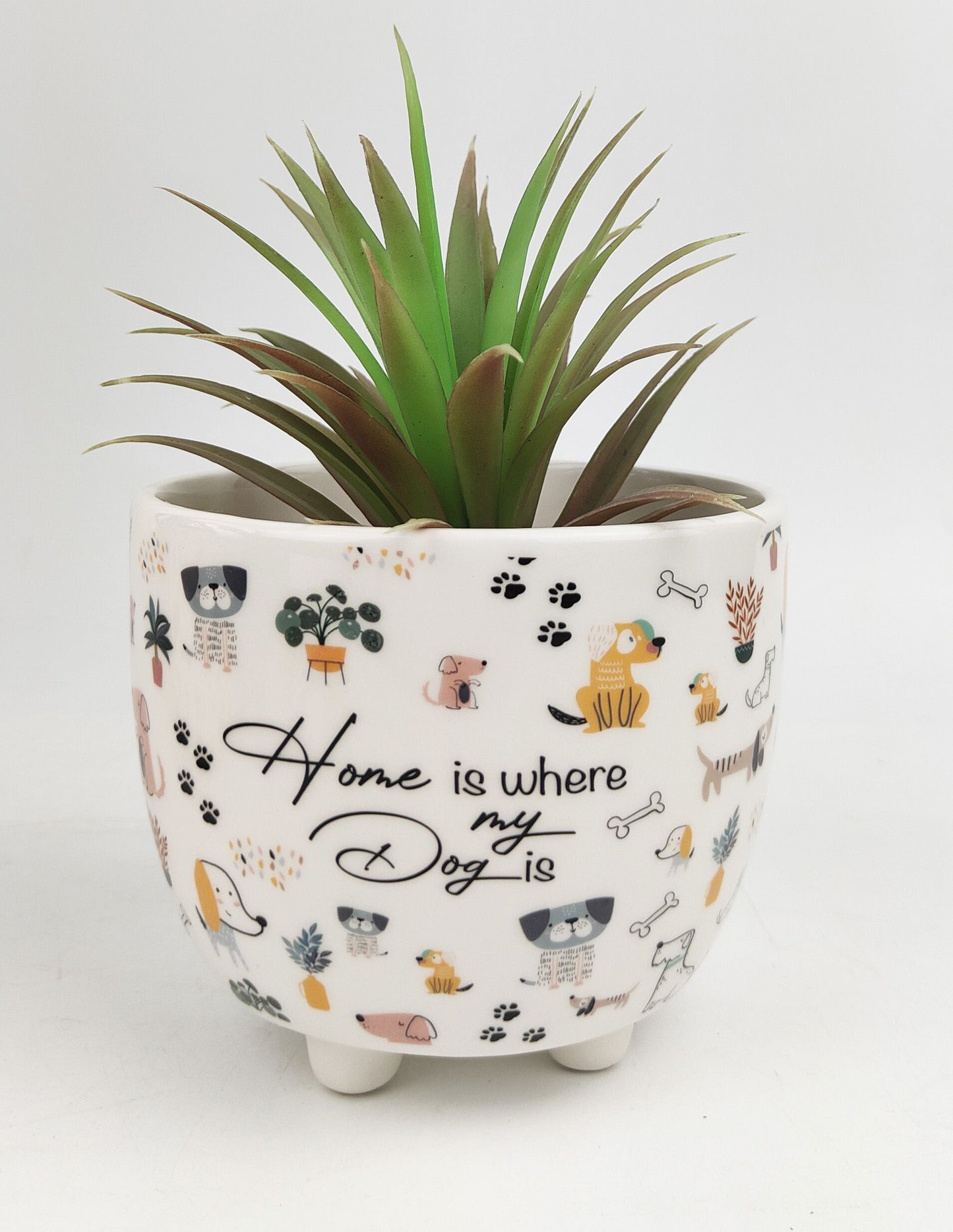 *NEW* Home is Where My Dog Is Planter