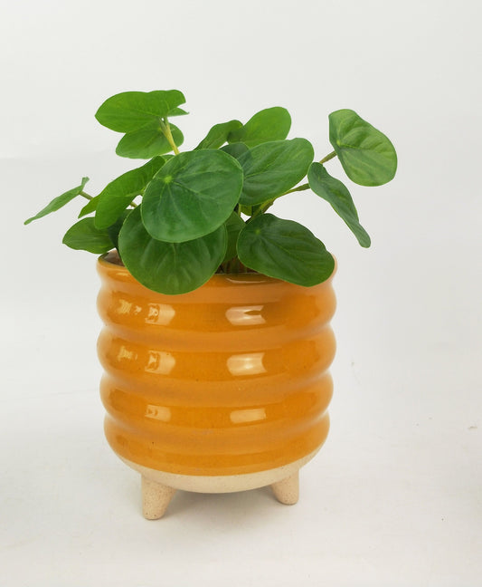Shelby Planter with Legs Mustard